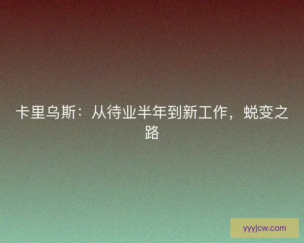 卡里乌斯：从待业半年到新工作，蜕变之路