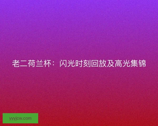 老二荷兰杯：闪光时刻回放及高光集锦