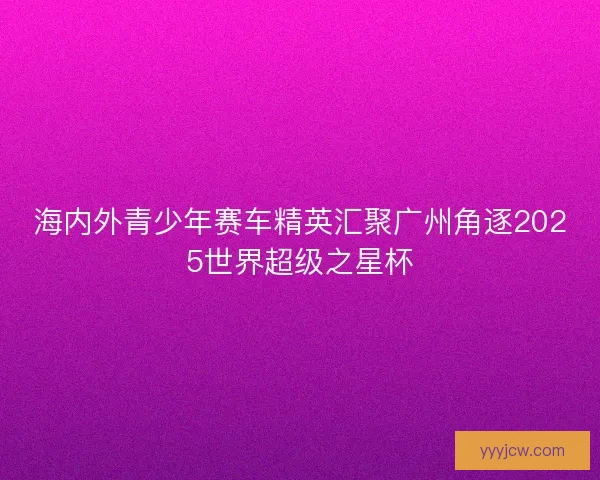 海内外青少年赛车精英汇聚广州角逐2025世界超级之星杯