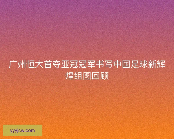 广州恒大首夺亚冠冠军书写中国足球新辉煌组图回顾 广州恒大首夺亚冠冠军书写中国足球新辉煌组图回顾
