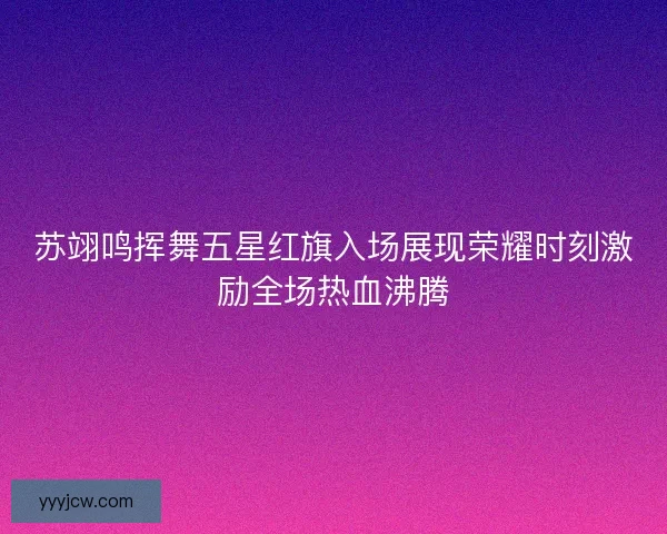苏翊鸣挥舞五星红旗入场展现荣耀时刻激励全场热血沸腾 苏翊鸣挥舞五星红旗入场展现荣耀时刻激励全场热血沸腾
